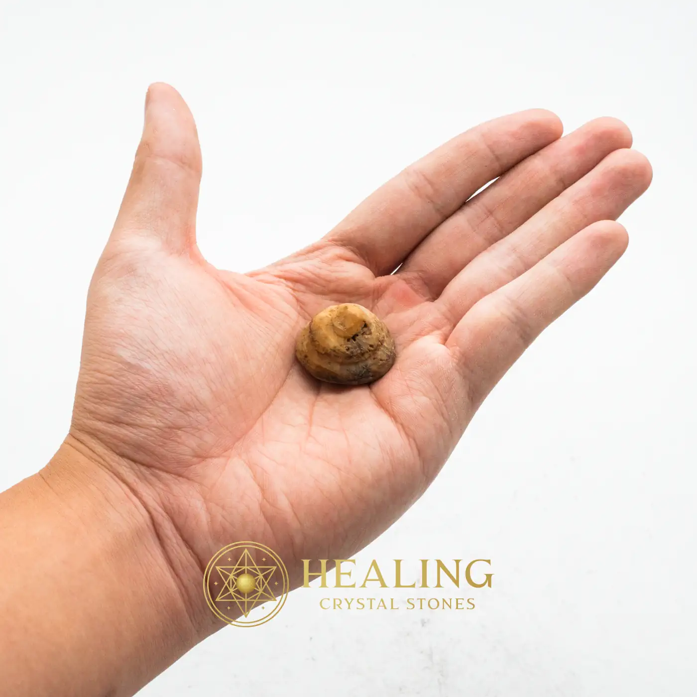 White Cobra Crown Pearl - Type B - Ritual Crystals, Ritual Power Stones, Magickal Crystals, Magickal Stones, Magical Stones, Occult, Esoteric Crystal, Mystical, Sacred, Enchanted