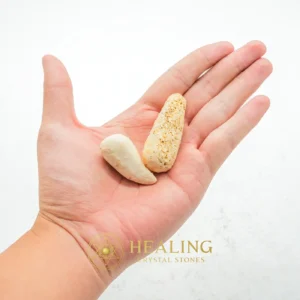 White Cobra Pearl - Type E1 - Divine, Mystical, Sacred, Enchanted, Rare, Unique, Exceptional, Exotic, Ornamental, Authentic