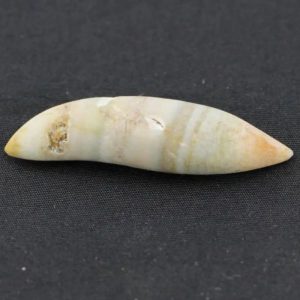 White Biawak Lizard Pearls - Type A3