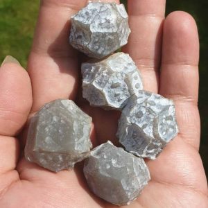 Deer Pearl Kencana - Type K1