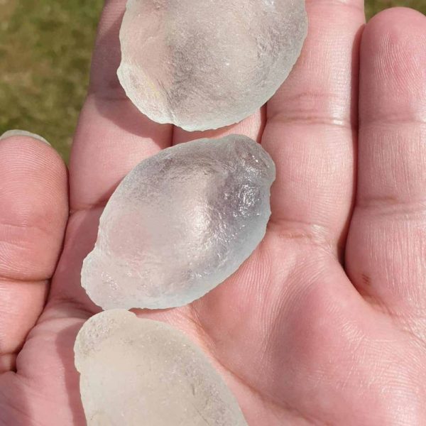Fish Pearls - Type B2 - Image 3