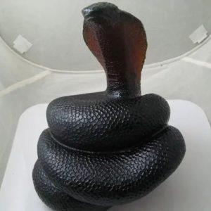 Snake Fossil - SF 93 (Crystal)