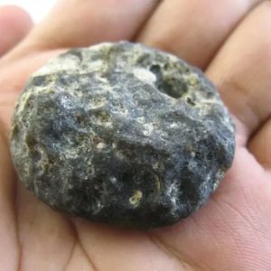 Snake Heart Fossil Type - D4