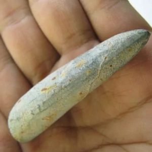 Snake Heart Fossil Type - G8