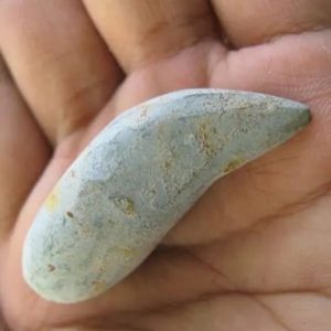 Snake Heart Fossil Type - G7