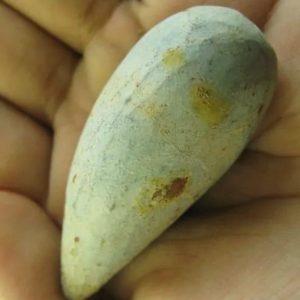 Snake Heart Fossil Type - G5