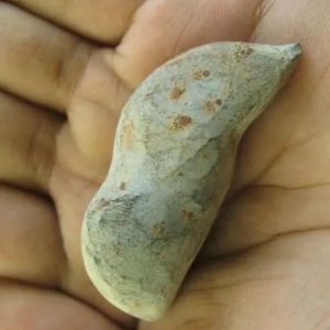 Snake Heart Fossil Type - G4