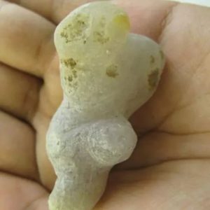 Snake Heart Fossil Type - J2