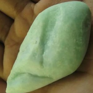 Snake Heart Fossil Type - L3