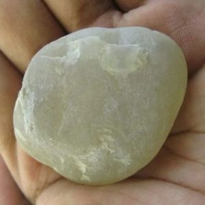 Snake Heart Fossil Type - K1