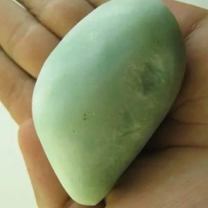 Snake Heart Fossil Type - L1