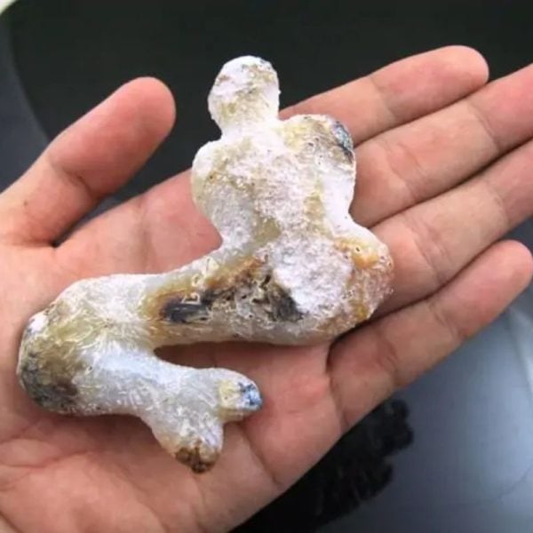 Mermaid Fossil - MF 1