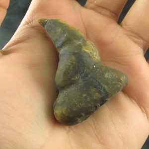 Dragon Horn Fossil (Siluman) - Type G4