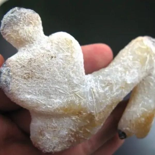 Mermaid Fossil - MF 1 - Image 5