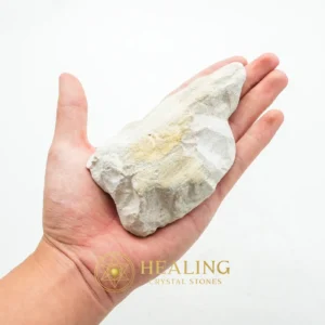 Asem Wood Fossil - Type B1 - Bezoar Stones, Bezoar Crystals, Healing Bezoar Stones, Rare, Authentic, Antique, Exotic, Unique, Artifact, Relic