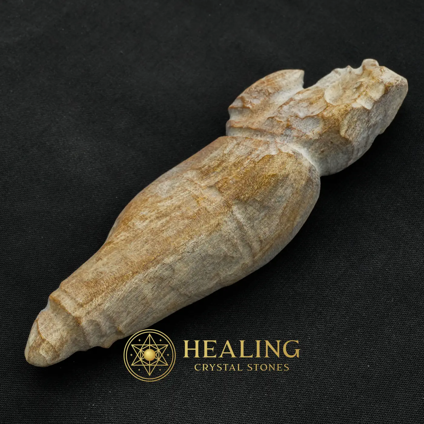 Asem Wood Fossil - Type B2 - Warding Stone, Protective Stone, Protection, Cleansing, Purification, Negative Energy Protection, Energy Shield Crystal, Aura Cleansing Stone, Guardian Talisman, Guardian Amulet