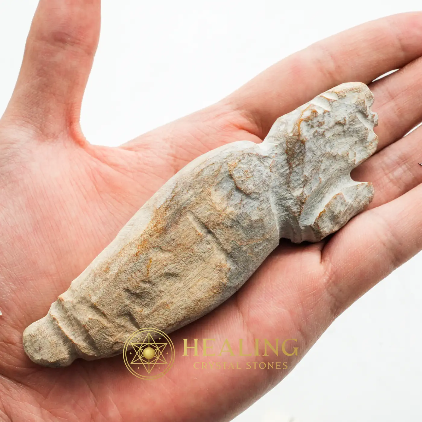 Asem Wood Fossil - Type B2 - Energy Stones, Energy Balance Stone, Energy Alignment Crystal, Life Force Stone, Life Energy Crystal, Solar Crystal, Universal Energy, Positive Energy, Energetic, Harmony