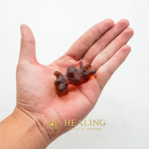 Bat Fossil - Type A1 - Mustika Pearls, Mustika Stones, Talismanic Stones, Talisman Crystals, Amulet Stones, Guardian Talisman, Guardian Amulet, Sacred Stones, Rare, Authentic