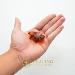 Bat Fossil - Type A2 - Magical Stones, Magickal Stones, Magickal Crystals, Ritual Power Stones, Ritual Crystals, Enchanted Stones, Enchanted, Ritualistic, Ceremnoial, Sacred