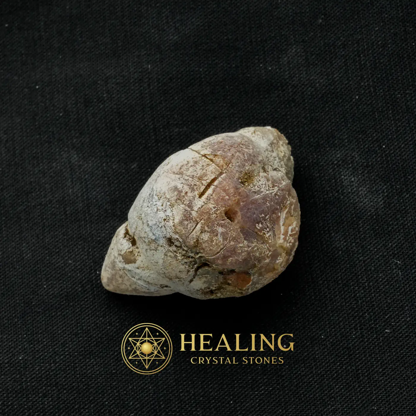 Bear Testicle - Type A1 - Crystal Stones, Shamanic, Energy Stones, Meditation, Chakra, Purification, Unique, Nature Crystal, Energy Shield Crystal, Mystical Relic