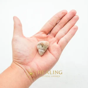 Bear Testicle - Type A1 - Healing Crystals, Mystical, Sacred Stones, Positive Energy, Aura, Protection, Rare, Spirit Crystal, Guardian Stone, Ancient Relic
