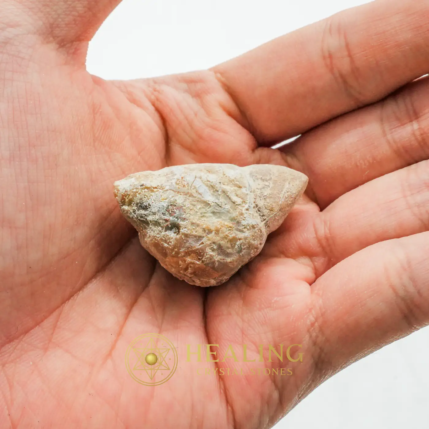 Bear Testicle - Type A1 - Mustika Pearls, Metaphysics, Sacred Crystals, Divine, Harmony, Cleansing, Authentic, Life Energy Crystal, Guardian Crystal, Occult Artifact