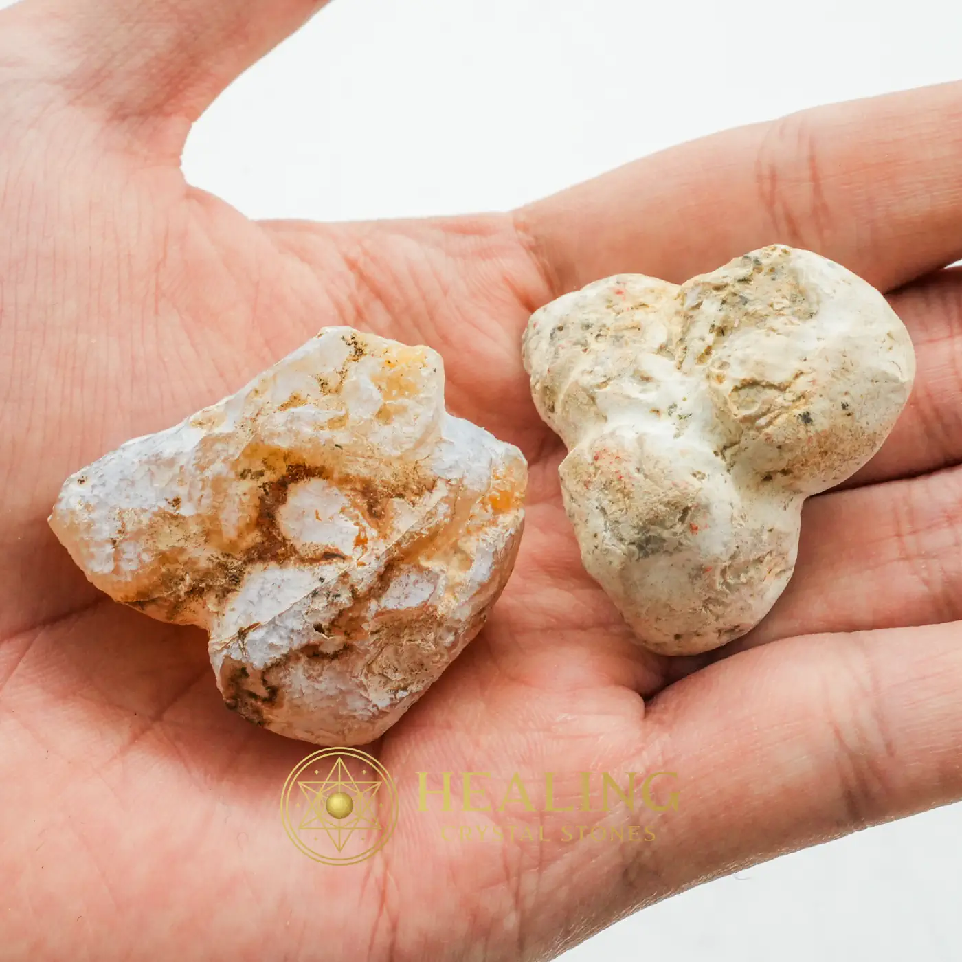 Bear Testicle - Type A2 - Talismanic Stones, Psychic, Mystical, Inner Wisdom, Energetic, Luck, Exotic, Earth Spirit Stone, Guardian Amulet, Esoteric Crystal