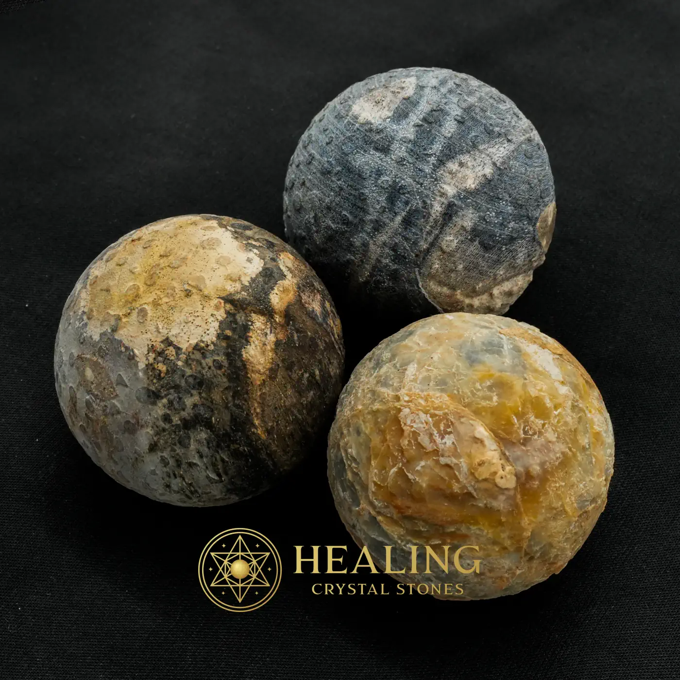 Black Naga Puspa Wood Pearl - Type A1 - Spiritual Crystals, Shaman, Artifact, Relic, Meditation, Cleansing, Rare, Life Energy Crystal, Guardian Crystal, Energy Alignment Crystal