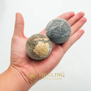 Black Naga Puspa Wood Pearl - Type A1 - Healing Stones, Spiritualism, Ritualistic, Chakra, Positive Energy, Purification, Ornamental, Nature Stone, Guardian Stone, Mystical Relic