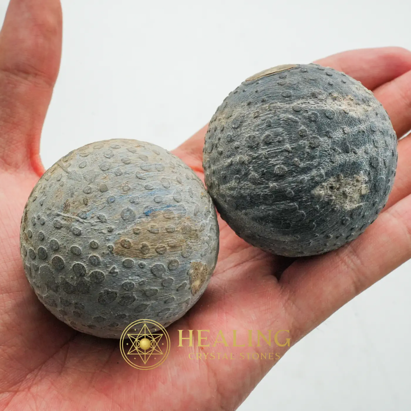 Black Naga Puspa Wood Pearl - Type A1 - Bezoar Stones, Magickal, Divine, Aura, Fortune, Protection, Unique, Spirit Crystal, Ancient Relic, Esoteric Artifact