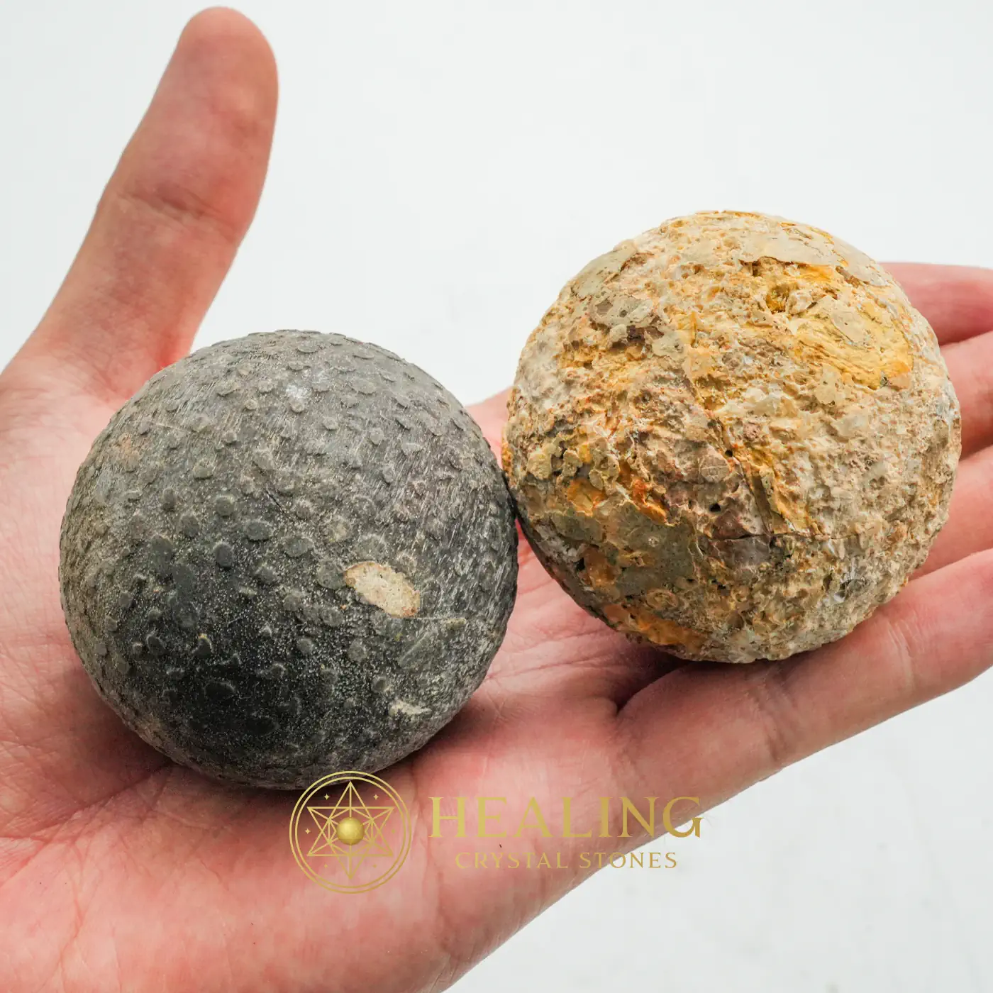 Black Naga Puspa Wood Pearl - Type A2 - Healing Bezoar Stones, Mysticism, Enchanted, Chakra, Energetic, Purification, Antique, Solar Crystal, Guardian Amulet, Aura Crystal
