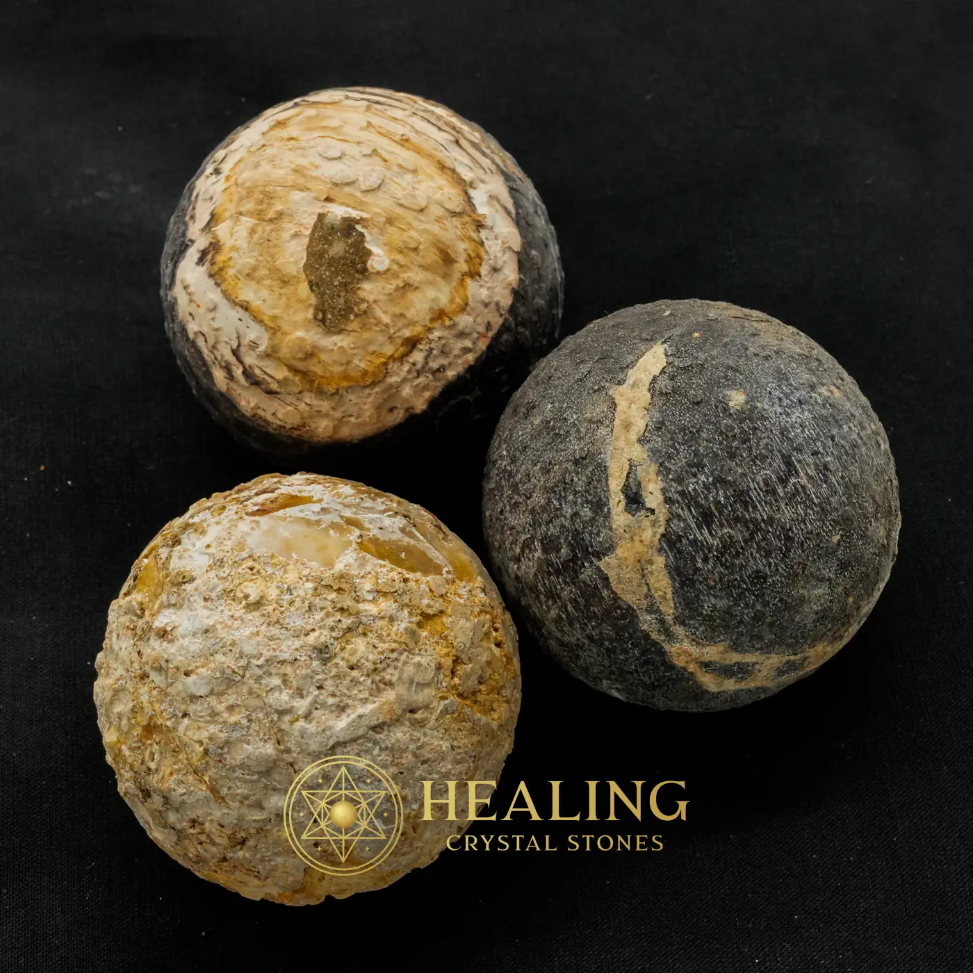 Black Naga Puspa Wood Pearl - Type A2 - Bezoar Crystals, Spiritual, Sacred Crystals, Awakened, Balance, Emotional Healing, Authentic, Earth Spirit Stone, Guardian Talisman, Occult Artifact