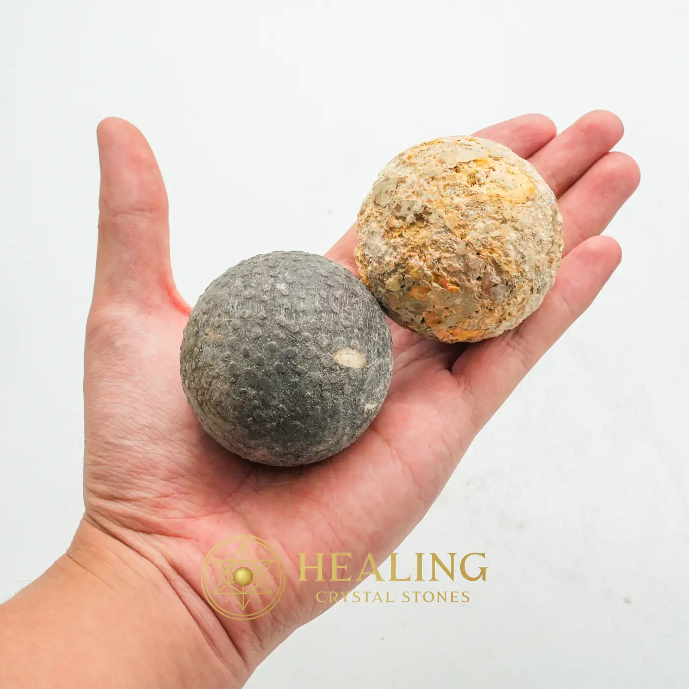 Black Naga Puspa Wood Pearl - Type A2 - Animal Totem Stones, Shamanic, Occult, Inner Wisdom, Harmony, Luck, Exotic, Nature Crystal, Spirit Stone, Energy Shield Crystal
