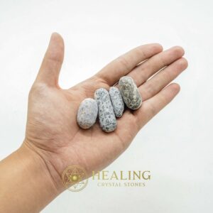 Black Sea Otter Pearl - Type N1 - Healing Bezoar Stones, Healing Crystals, Amulet Stones, Healing Stones, Magical Stones, Ritual Crystals, Talisman Crystals, mystical, psychic, occult