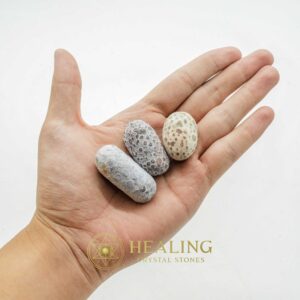 Black Sea Otter Pearl - Type N2 - Animal Totem Stones, Mustika Pearls, Talismanic Stones, Spiritual Crystals, Magickal Crystals, Energy Stones, Enchanted Stones, shaman, spiritualism, metaphysics