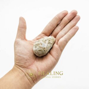 Boar Pearls - Type B - Animal Totem Stones, Power Animal Stones, Healing Crystals, Crystal Stones, Energy Stones, Spiritual Crystals, Ritual Crystals, Shamanic, Mystical, Magical