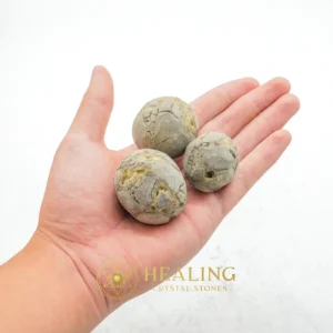 Boar Pearls - Type D - Healing Crystals, Sacred Stones, Spiritual Crystals, Mystical, Aura Crystal, Positive Energy, Guardian Crystal, Inner Wisdom, Rare, Divine
