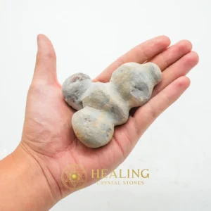 Boar Pearls - Type E - Power Animal Stones, Psychic, Sacred Stones, Universal Energy, Protection, Warding Stone, Exceptional, Life Force Stone, Guardian Stone, Esoteric Stone