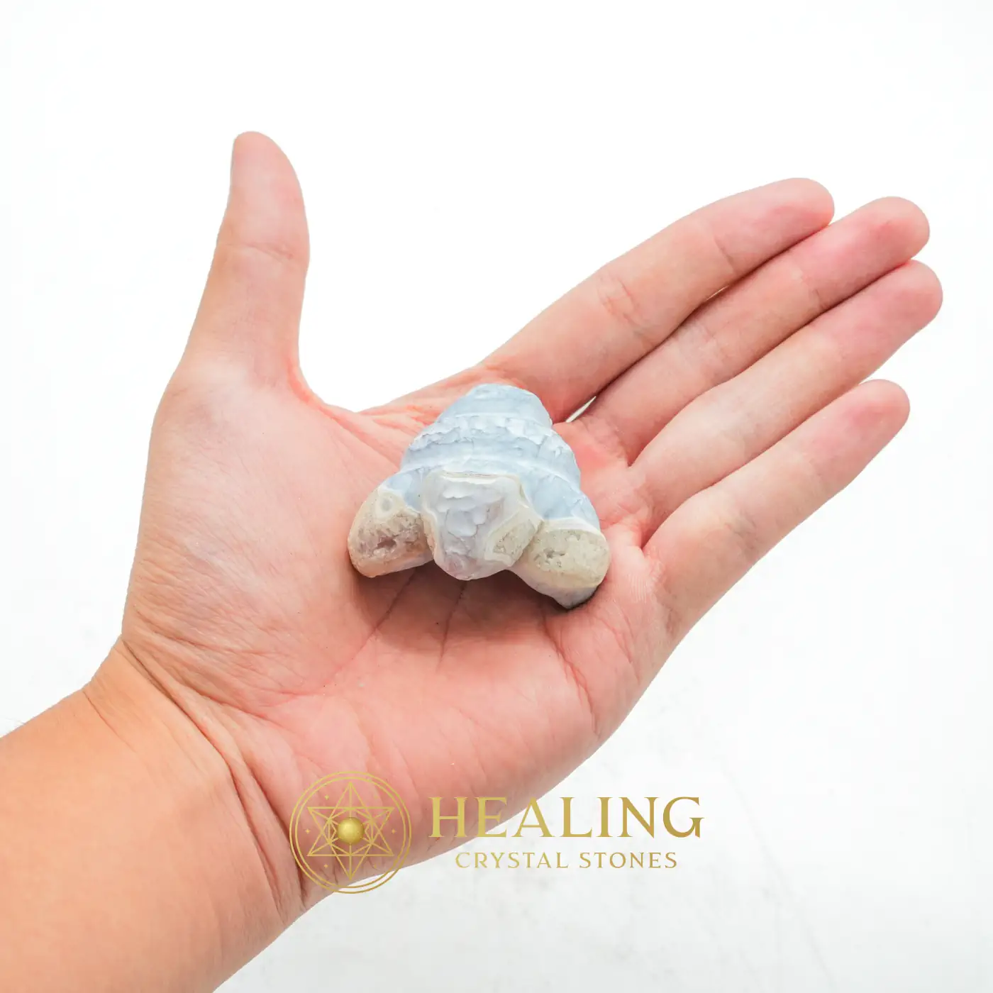 Boar Pearls - Type G1 - Sacred Stones, Sacred Crystals, Divine, Mystical, Enchanted, Relic, Ancient Relic, Mystical Relic, Authentic, Ornamental