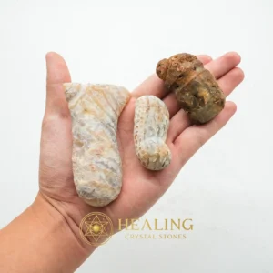 Bull Pearls - Type C - Occult Artifact, Esoteric Artifact, Esoteric Stone, Esoteric Crystal, Psychic, Occult, Metaphysics, Mystical, Relic, Artifact