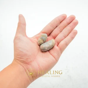 Caterpillar Pearl - Type A1 (Small) - Crystals, Crystal Stones, Healing Crystals, Healing Stones, Spiritual Crystals, Sacred Crystals, Magickal Crystals, Ritual Crystals, Enchanted, Rare