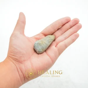 Caterpillar Pearl - Type A2 (Large) - Bezoar Stones, Bezoar Crystals, Healing Bezoar Stones, Healing Crystals, Spiritual Crystals, Mystical Relic, Ancient Relic, Authentic, Rare, Exotic