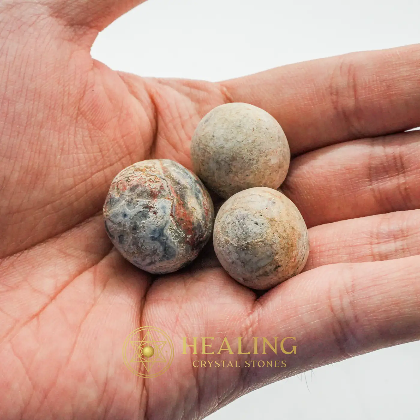 Centipede Pearls - Type M Black Male - Healing Stones, Animal Totem Stones, Spiritual Crystals, Universal Energy, Meditation, Harmony, Divine, Authentic, Rare, Antique