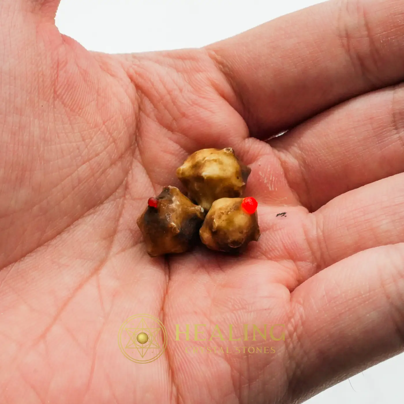 Centipede Pearls - Type O5 - Artifact, Relic, Occult Artifact, Esoteric Artifact, Esoteric Crystal, Esoteric Stone, Psychic, Occult, Metaphysics, Mysticism