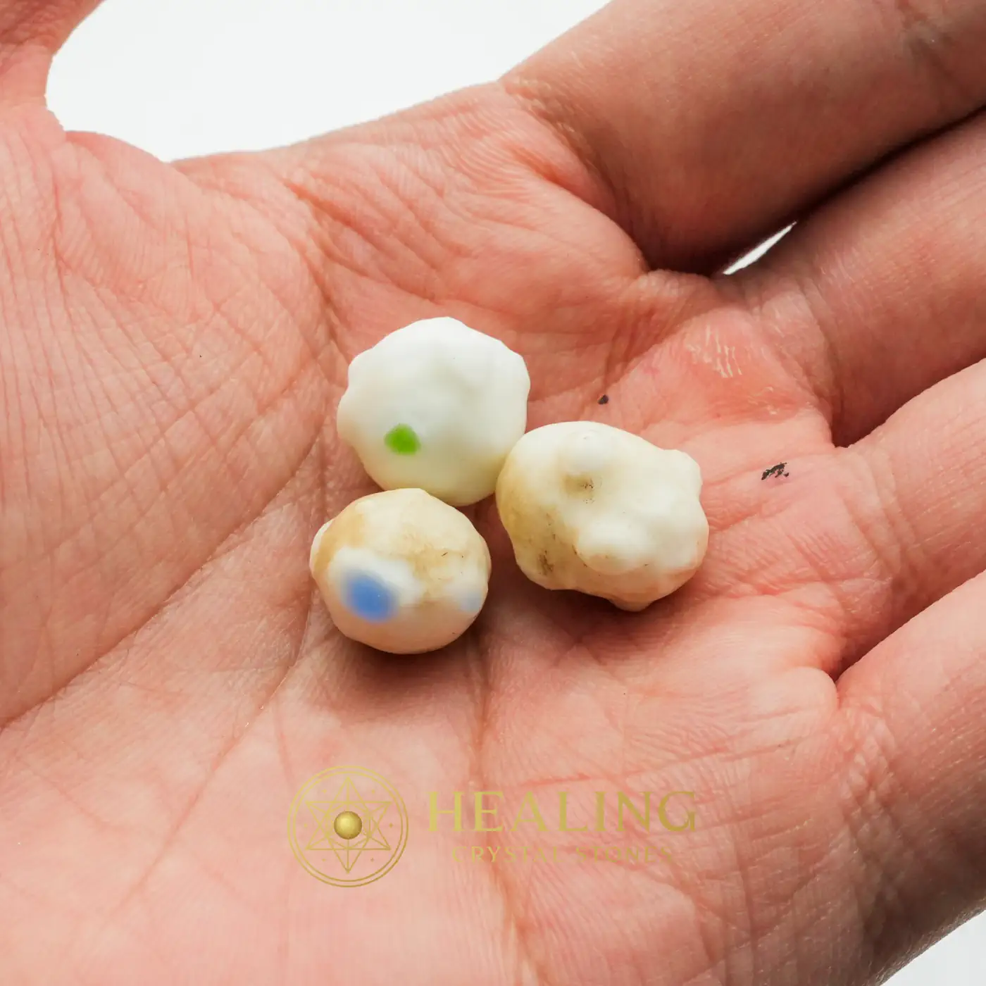 Centipede Pearls - Type O7 - Shaman, Shamanic, Animal Totem Stones, Power Animal Stones, Spirit Stone, Guardian Stone, Guardian Crystal, Nature Crystal, Nature Stone, Mysticism