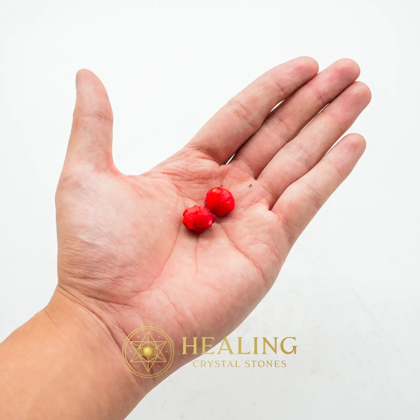 Centipede Pearls - Type O8 - Healing Crystals, Crystal Stones, Mustika Pearls, Mustika Stones, Bezoar Stones, Bezoar Crystals, Talismanic Stones, Amulet Stones, Sacred Stones, Rare