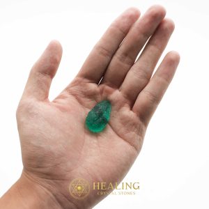 Bamboo Perindu Pearl - Type C3