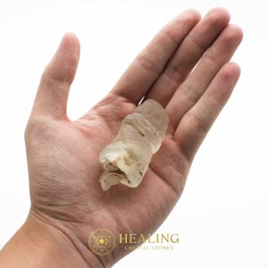 Wijoyo Kusumo Flower Pearl