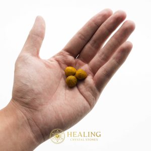 Cempaka Flower Pearl-Type A