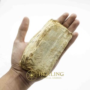 Asem Wood Fossilized - Type A1 Magickal Crystals Ritual Power Stones Ritual Crystals Crystals Talismans Stones Talisman Crystals Amulet stones spiritualism metaphysics occult psychic